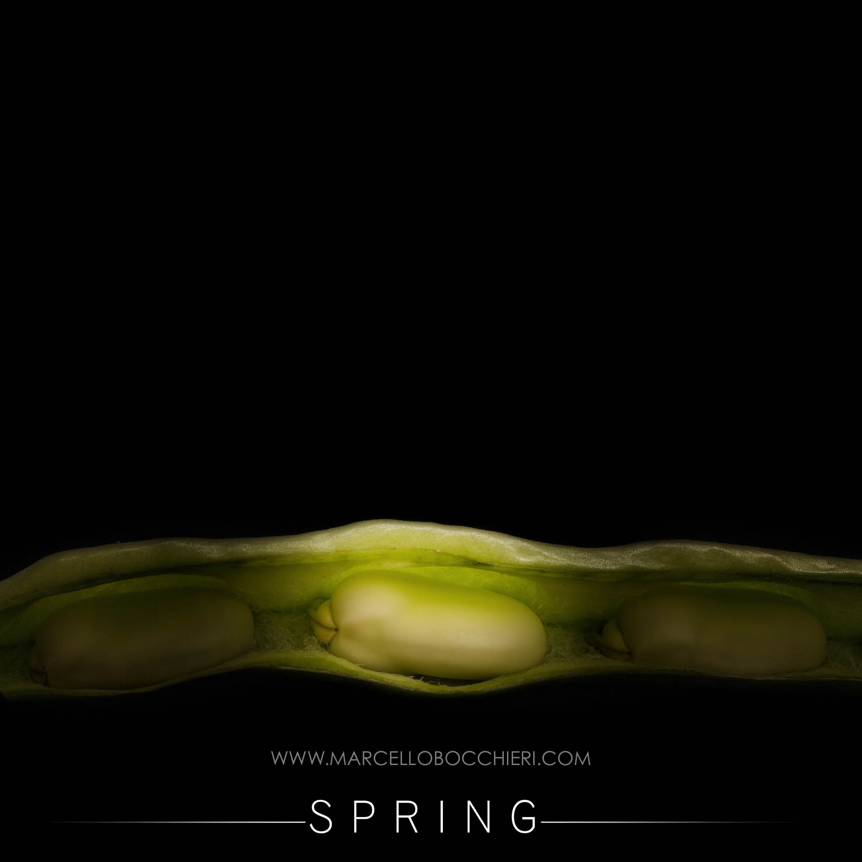 spring